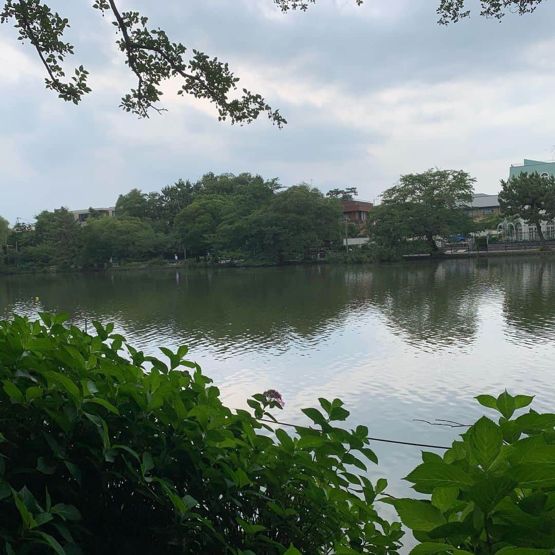 一三さんのインスタグラム写真 - (一三Instagram)「蚊に刺されまくり，全く癒されない水辺の畔にて。。。  #石神井公園 #池 #蚊に刺された #水辺」7月20日 18時31分 - ichizou.co.jp