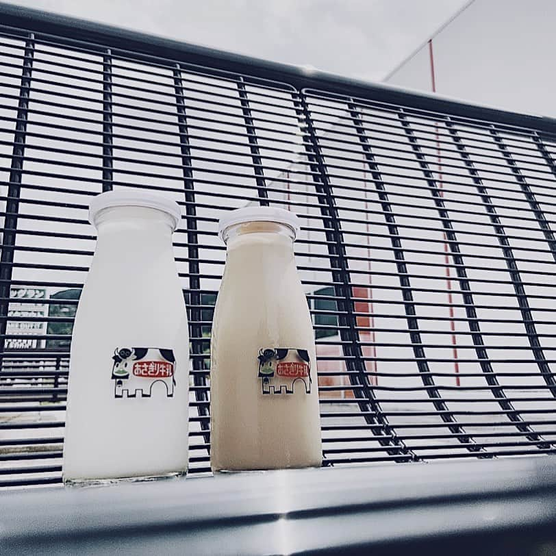 仙石翼さんのインスタグラム写真 - (仙石翼Instagram)「milk🥛🐮」7月20日 17時35分 - monica1059_hpp