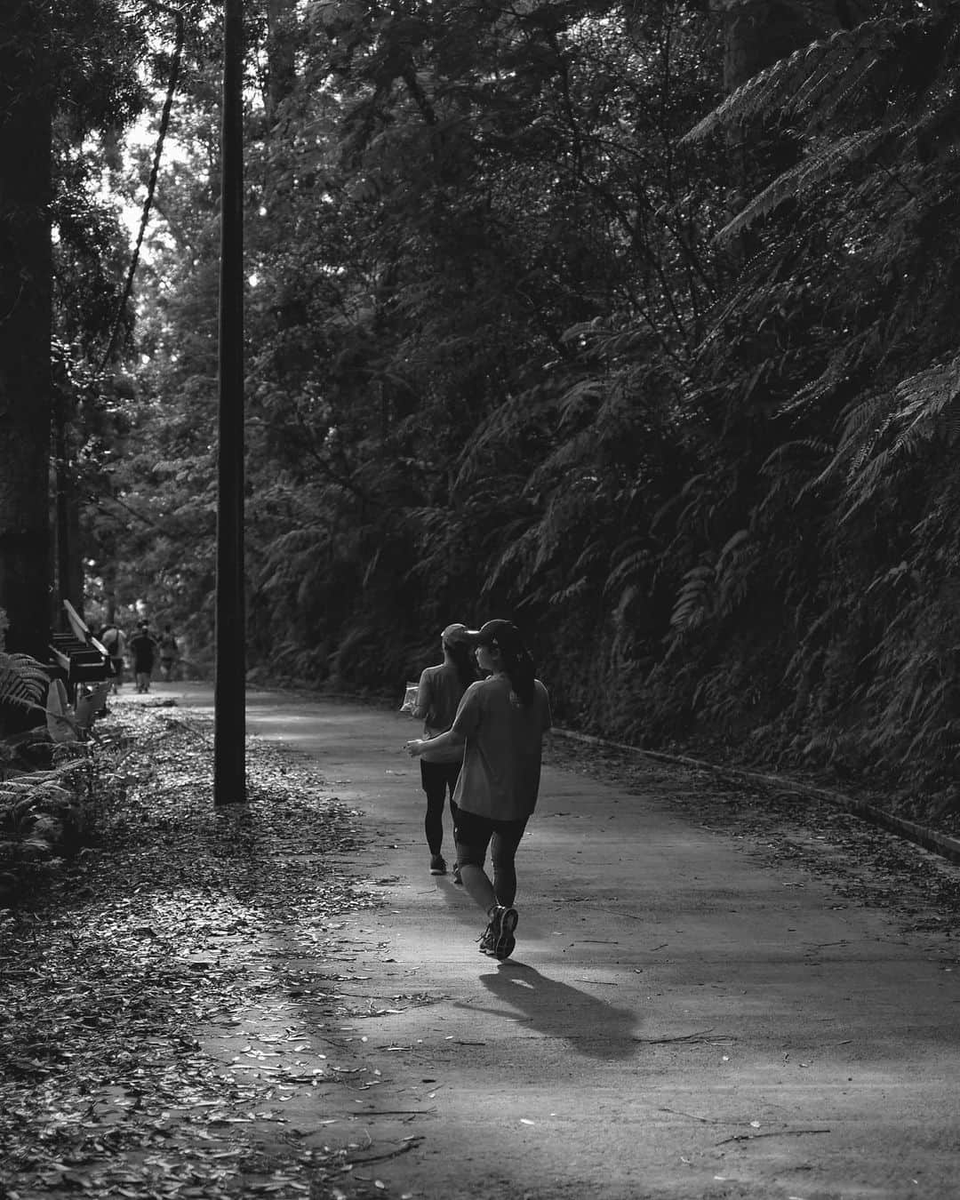 グレイシア・ポリーのインスタグラム：「Ku lari ke hutan, kemudian teriakku. #2019」