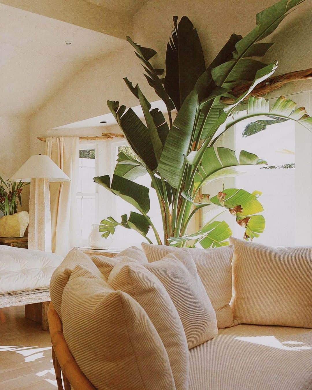 Meganさんのインスタグラム写真 - (MeganInstagram)「Tropical plant love 🌿 House Beautiful: Decorating Style, 1992 - - - - #indoorplants #tropicalplants #homebeautiful #interiordesign」7月20日 18時08分 - zanzan_domus
