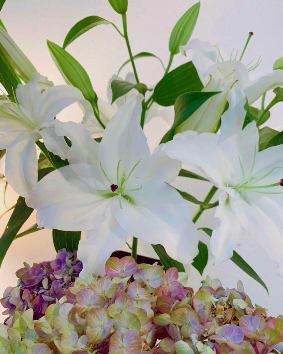 あびる優さんのインスタグラム写真 - (あびる優Instagram)「7月はお誕生日でたくさんお花を頂いたので、我が家はお花畑状態でした😊✨ それぞれのお花をたっぷり楽しんで👀ありがとうバイバイしたので😇💐 今週は、シンプルに✨大好きな百合に入れ替えました🥰 約3ヶ月一緒に過ごした紫陽花はそろそろ見納めかも。。🥺😌  #flower#flowers#lily#💐#お花#花#ゆり#百合#紫陽花#❤️」7月20日 18時16分 - yuabiru74