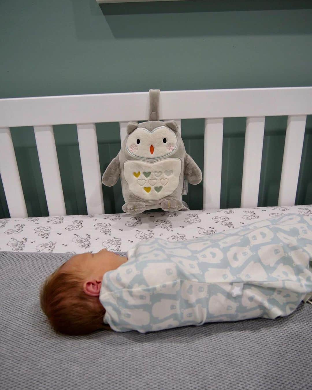 サリー・ピアソンさんのインスタグラム写真 - (サリー・ピアソンInstagram)「I just can’t take my eyes off her 😍😍 Ruby honestly “sleeps like a baby” whenever she’s in her @tommeetippeeaustralia the Original Grobag - Easy Swaddle ⭐️ amazed when I learned that the swaddle helps to reduce the startle reflex so little ones like Ruby can enjoy a good night’s sleep. On the low I think she loves the Bennie the Bear design too 😂🐻 want to know the best part though? Should your little one need changing during the night, there’s easy zip access from the bottom to help you tackle those night-time nappy changes without disturbing the whole household 👏👏 absolute magic. Because the more sleep Ruby gets, the more sleep Mum gets as well 😂😂❤️❤️ #tommeetippeeau helping you #ParentOn」7月20日 18時22分 - sallypearson