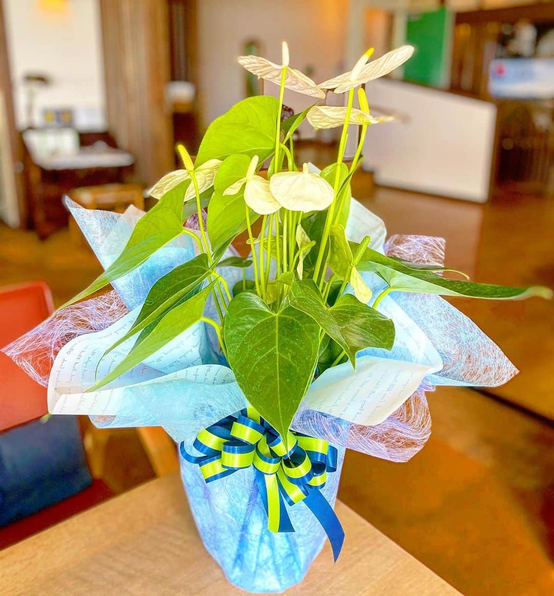 祥吉のグルメインスタ