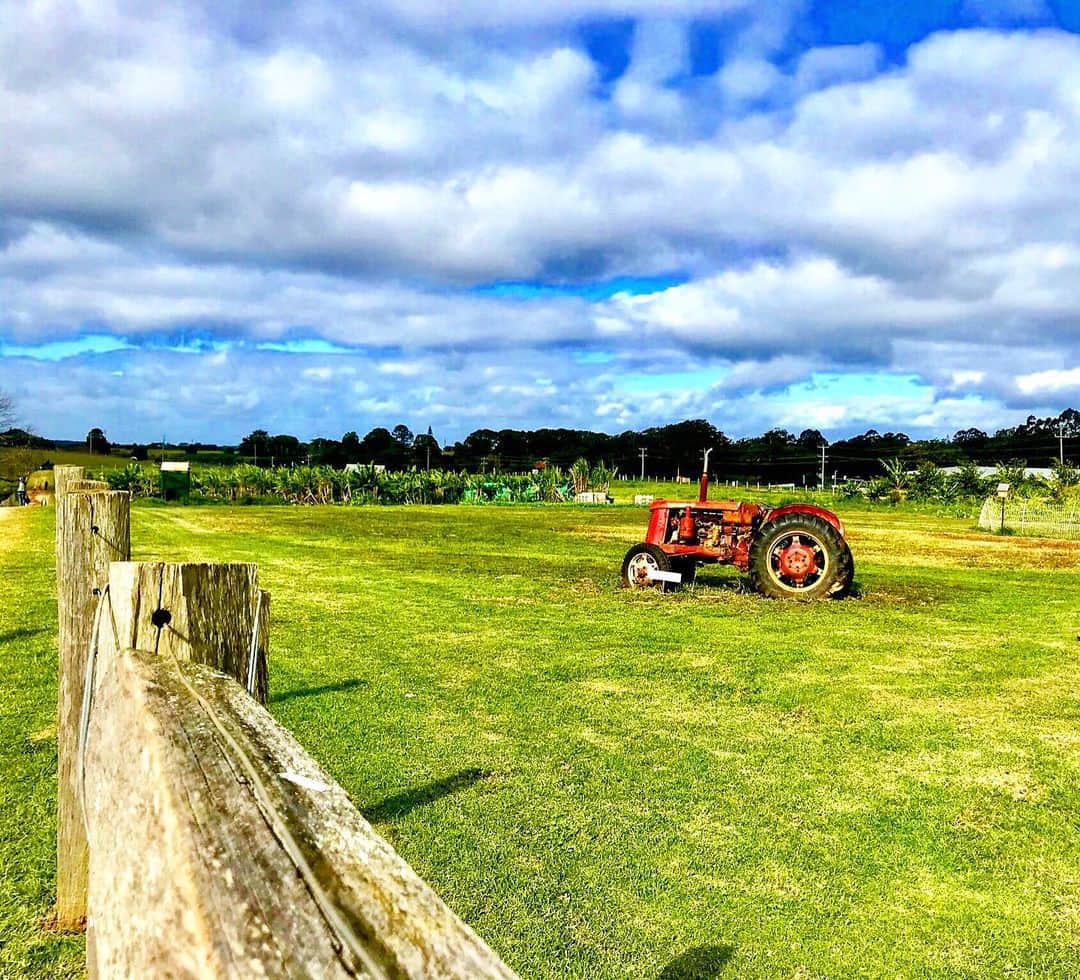 シャーニ・ヴィンソンのインスタグラム：「#TheFarm 🚜 #roadtrip」
