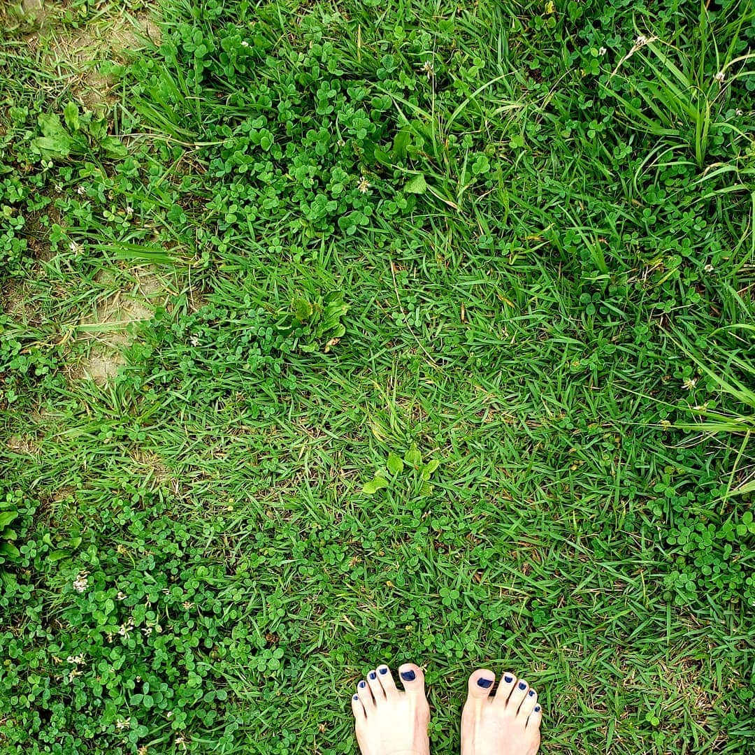 大河内志保さんのインスタグラム写真 - (大河内志保Instagram)「たまには濡れた草の上の大地を踏みしめて電磁波を放電しよう。  #アーシング  #濡れた草は電気を通す #細胞を喜ばす #自然治癒力 #予防医学 #自然のエネルギーと繋がる #自然界の動物は靴下を履かない #下鴨神社」7月20日 10時48分 - okouchi_shiho