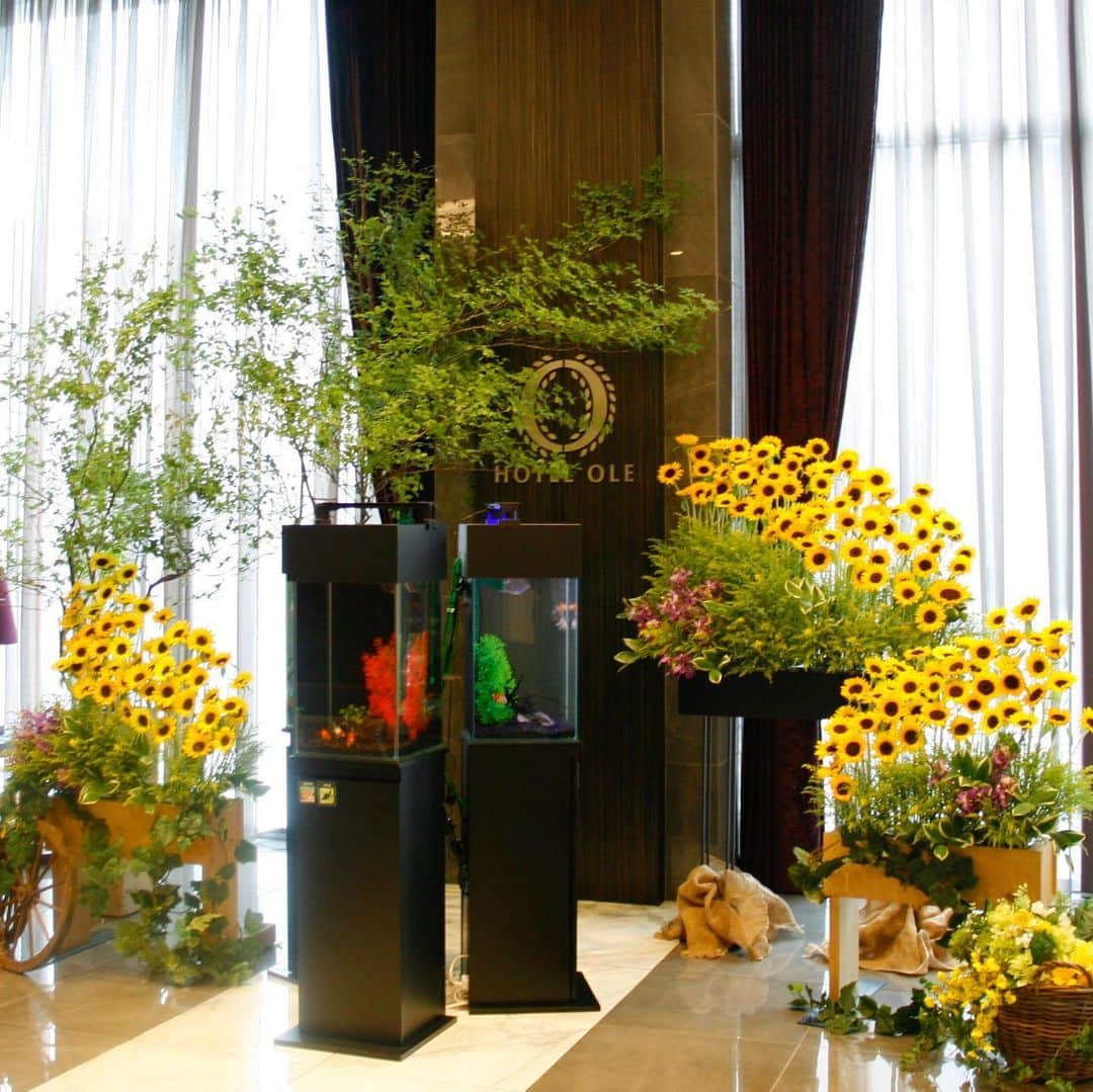 ホテルオーレ　ブロッサモーレのグルメインスタ