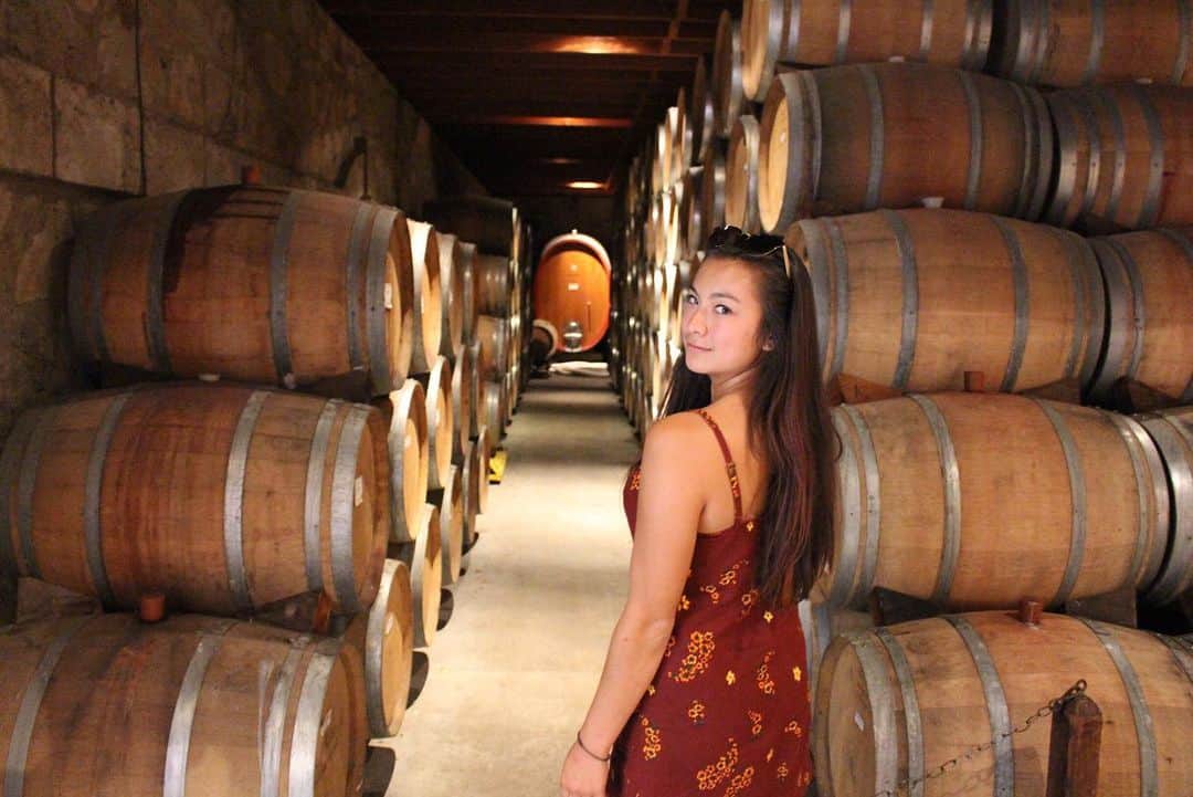 五十川舞香のインスタグラム：「Ready to tap (all of) that 🍷」