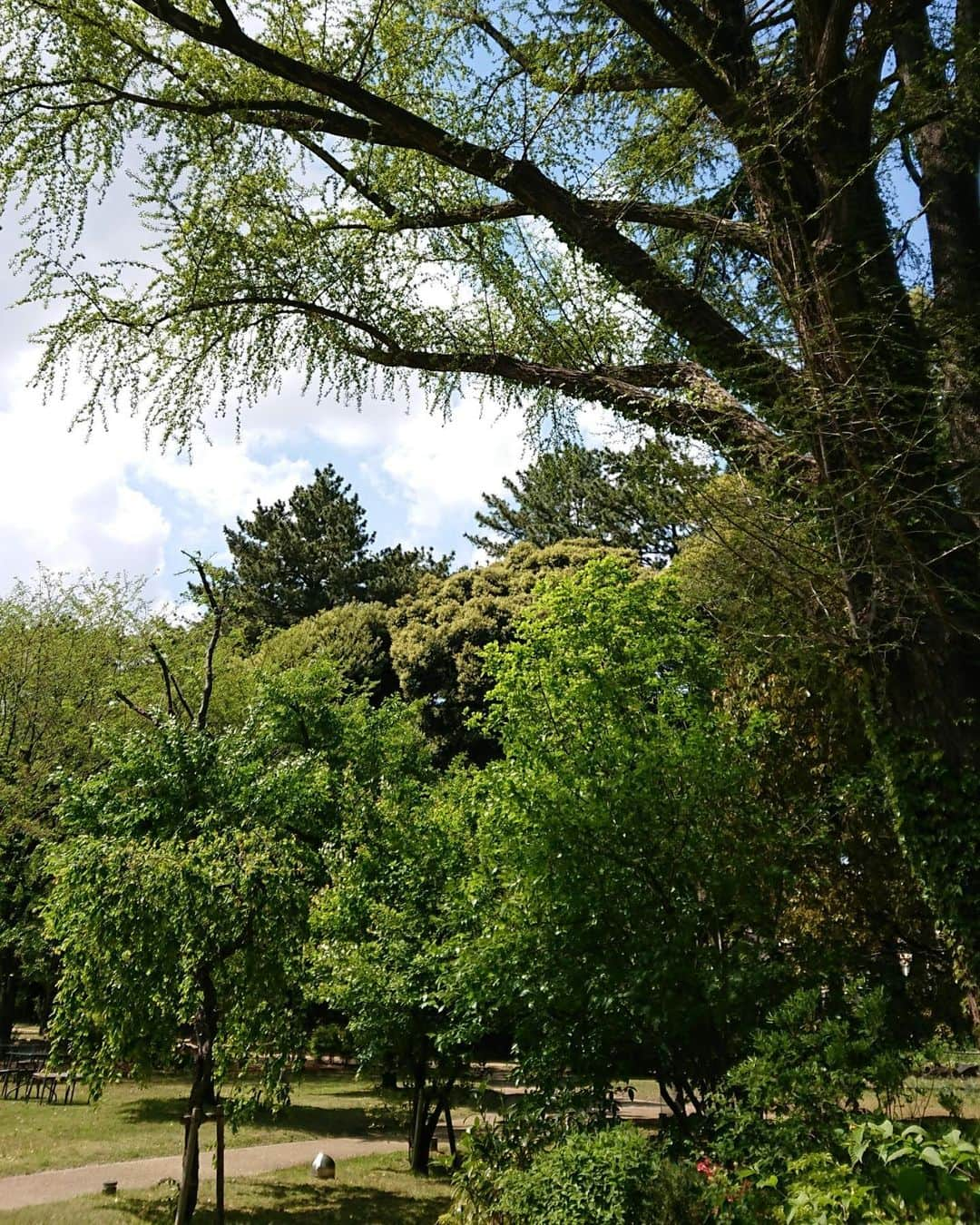 東京都庭園美術館さんのインスタグラム写真 - (東京都庭園美術館Instagram)「【開催中｜東京モダン生活展】 西洋庭園では、澄んだ青空のもと今日も静かに時が流れています。 そよぐ風と柔らかな陽の光。印象派の絵画にあるような風景の中で、気持ちも穏やかに1日をお楽しみいただきたいです。  #東京都庭園美術館 #東京 #旧朝香宮邸 #庭園 #西洋庭園 #tokyometropolitanteienartmuseum #teienartmuseum #tokyo #garden #TokyoTokyoFESTIVAL」7月20日 11時29分 - teienartmuseum