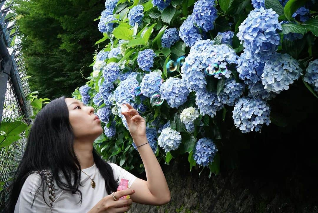 青山恵梨子のインスタグラム：「やっぱ晴れてると気持ちいいね！ 外に出て太陽浴びる事が、人間にとってこんなに大切なんだって気付かされるよね。☀️ コロナはきっとゼロにはならないだろうし、しっかり対策して生きていこう！！ #withコロナ  #紫陽花 #アジサイ #あじさい #しゃぼん玉 #飛鳥山公園  #camera  @erikooooo.cam」