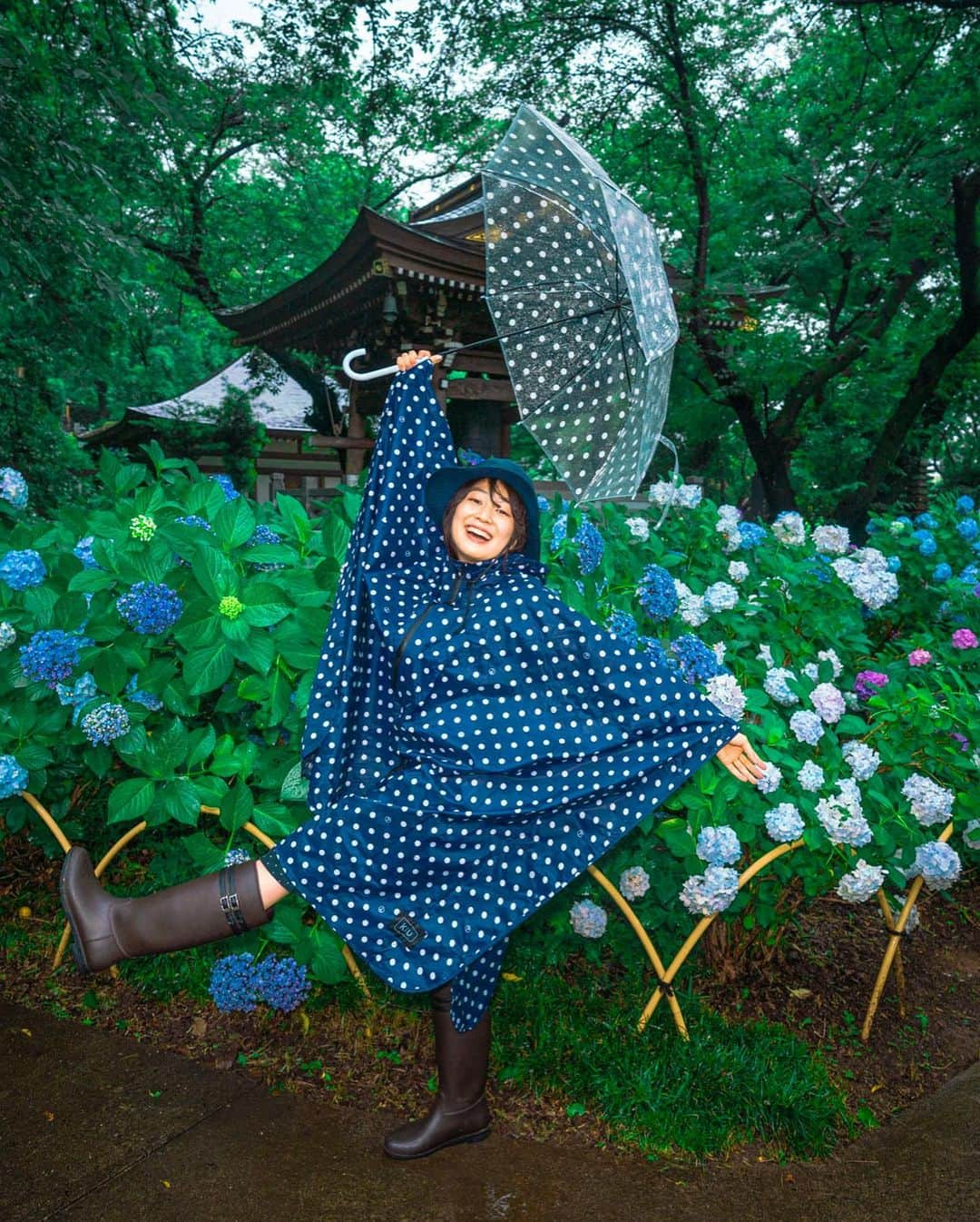 kenta_soyoungさんのインスタグラム写真 - (kenta_soyoungInstagram)「Raincoat and hydrangea. . . . . 雨合羽撮影たのしかったな〜 紫陽花はやっぱ雨の中撮らないと！って思います☔️ . . . model: @nanairo_girl_」7月20日 11時42分 - kenta_soyoung