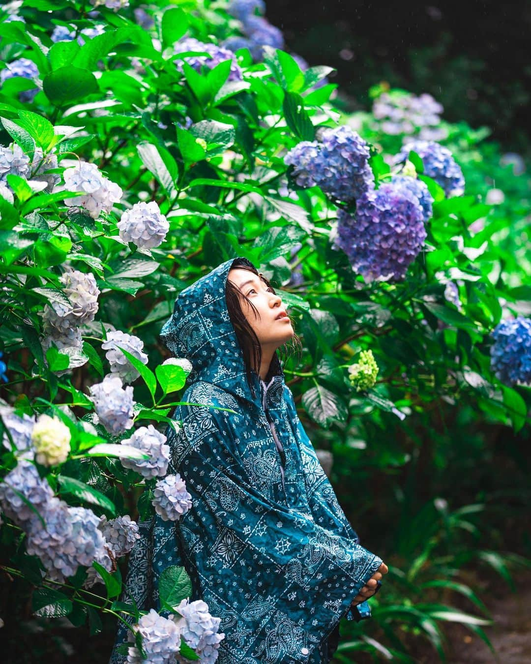 kenta_soyoungさんのインスタグラム写真 - (kenta_soyoungInstagram)「Raincoat and hydrangea. . . . . 雨合羽撮影たのしかったな〜 紫陽花はやっぱ雨の中撮らないと！って思います☔️ . . . model: @nanairo_girl_」7月20日 11時42分 - kenta_soyoung