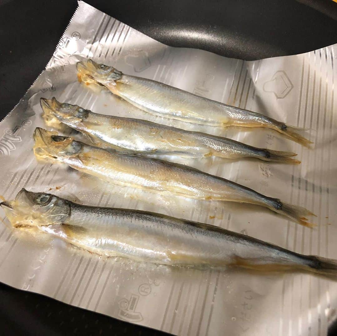 望木聡子さんのインスタグラム写真 - (望木聡子Instagram)「昼ごはん。 . #ししゃも #メーテレ #ドデスカ #アナウンサー #望木聡子」7月20日 12時37分 - satoko_mochiki