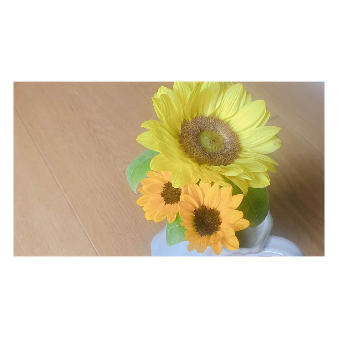 小原好美さんのインスタグラム写真 - (小原好美Instagram)「お花屋さんに行きました。  レモンイエローのひまわりとミニひまわり ひまわり同士の組み合わせ可愛い。  にまにま(●´ー｀●)  今年はひまわり畑じゃなくて おうちで楽しもうかな。  #ひまわり #コメントありがとうございます」7月20日 12時48分 - konomi_kohara0628