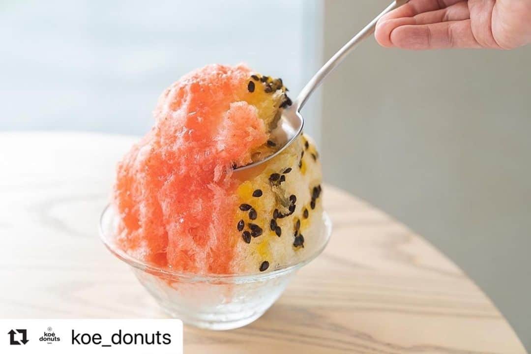 コエのグルメインスタ