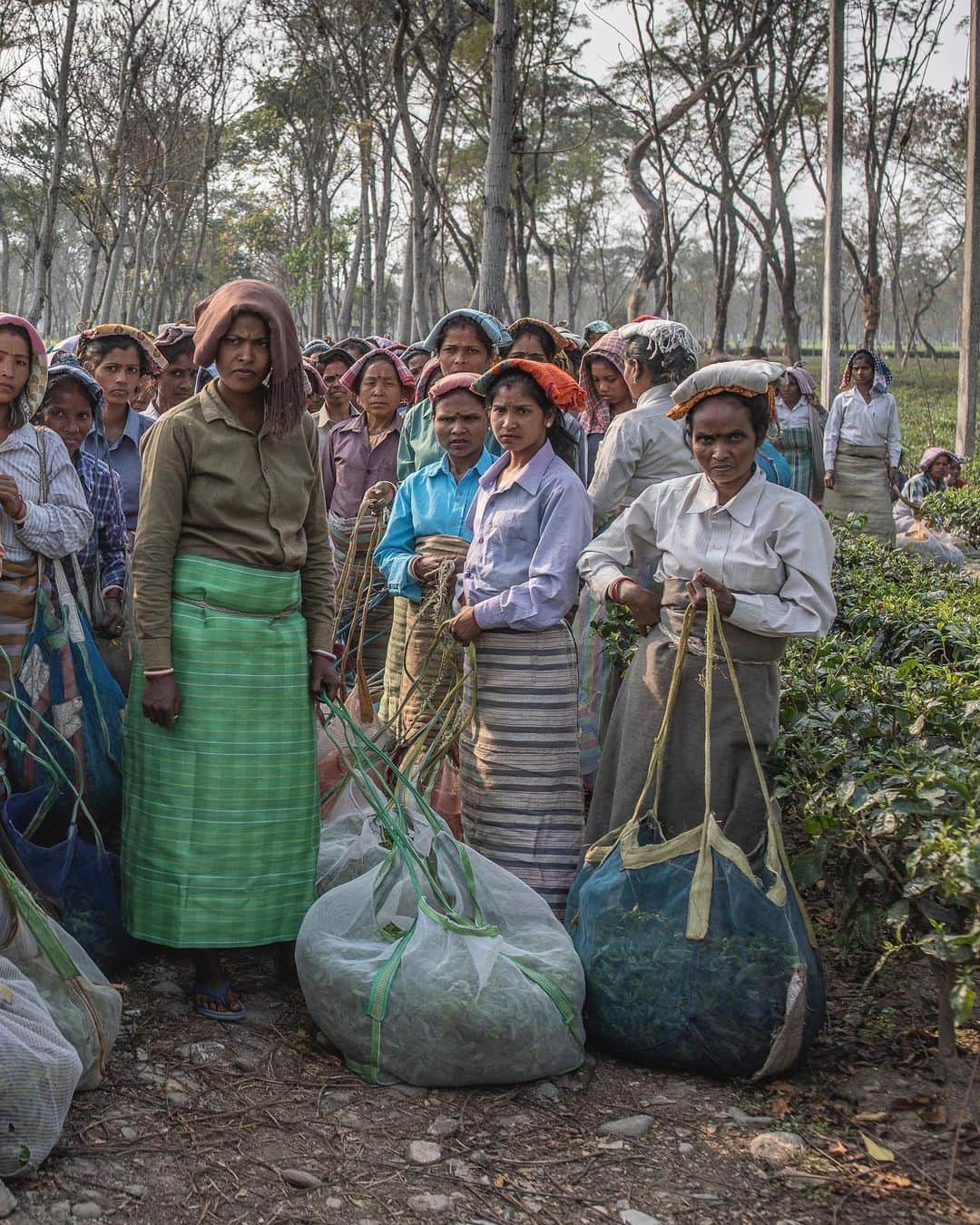 ジョン・スタンメイヤーさんのインスタグラム写真 - (ジョン・スタンメイヤーInstagram)「Swipe ~ Women wait to weigh freshly picked tea leaves they picked at a tea plantation in West Bengal, India. Working 8-10 hours, six days a week, plucking of tea leaves is done almost always by women. Called pluckers, each woman earns roughly 172 rupees ($2.40 USD) per day, or 3000 rupees ($42 USD) a month with bonus payments during first blush of tea harvesting season. Personal note: Whenever sipping a cup of tea, give thanks to the kind ladies who pluck the leaves… ⠀⠀⠀⠀⠀⠀⠀⠀ India’s Daunting Challenge: There’s Water Everywhere, And Nowhere - Chapter 8 of the @outofedenwalk, my latest story in the August 2020 issue of @natgeo magazine, now online (link in my Instagram bio). Print edition arrives on newsstands and in your mailboxes July 23rd. ⠀⠀⠀⠀⠀⠀⠀⠀ @natgeo @outofedenwalk #walkingindia #edenwalk #india #westbengal #tea #teaplantation #teapickers #teapluckers #women #labor #womenlabor」7月20日 13時13分 - johnstanmeyer