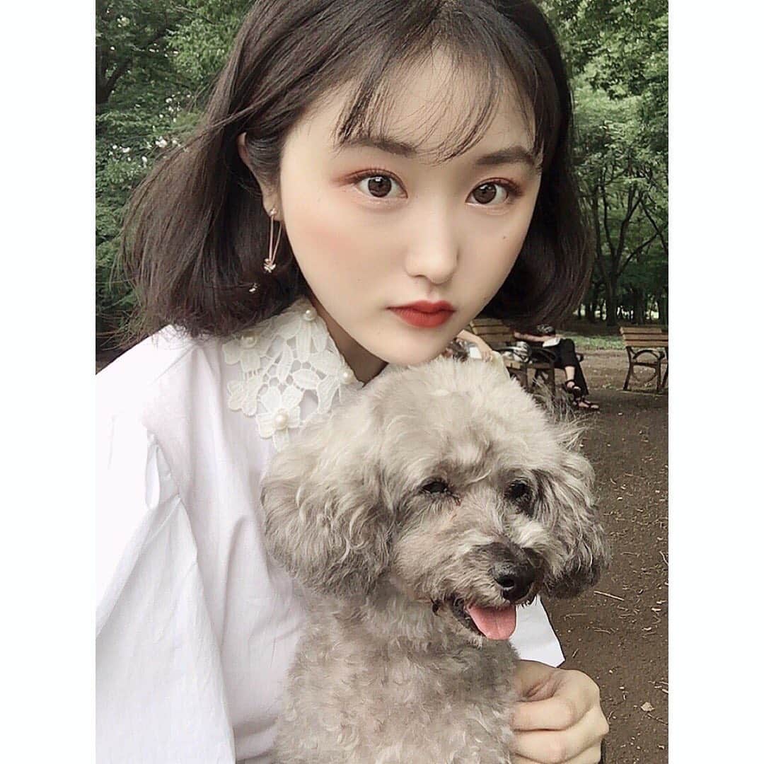 のインスタグラム：「🐶 わんこに嫌われがち。。。😞」