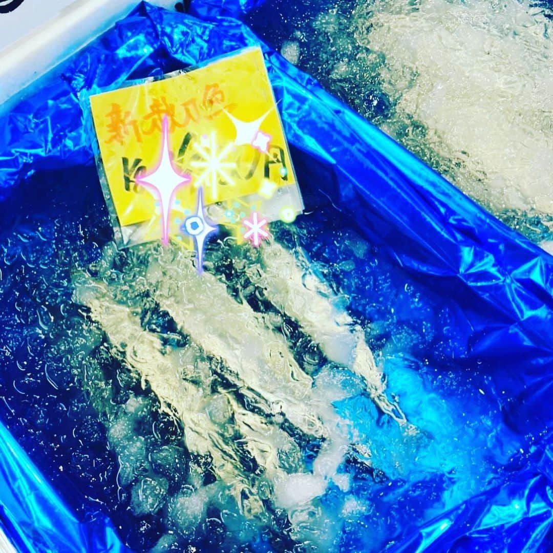 魚金のインスタグラム