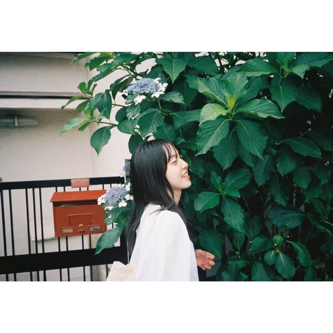 藤井武美のインスタグラム：「雨だったり晴れだったり 寒かったり暖かったり 困っちゃいますね。 身体と心を、強くね 歩いていたら可愛いチューリップがあって ほっこり🌷」