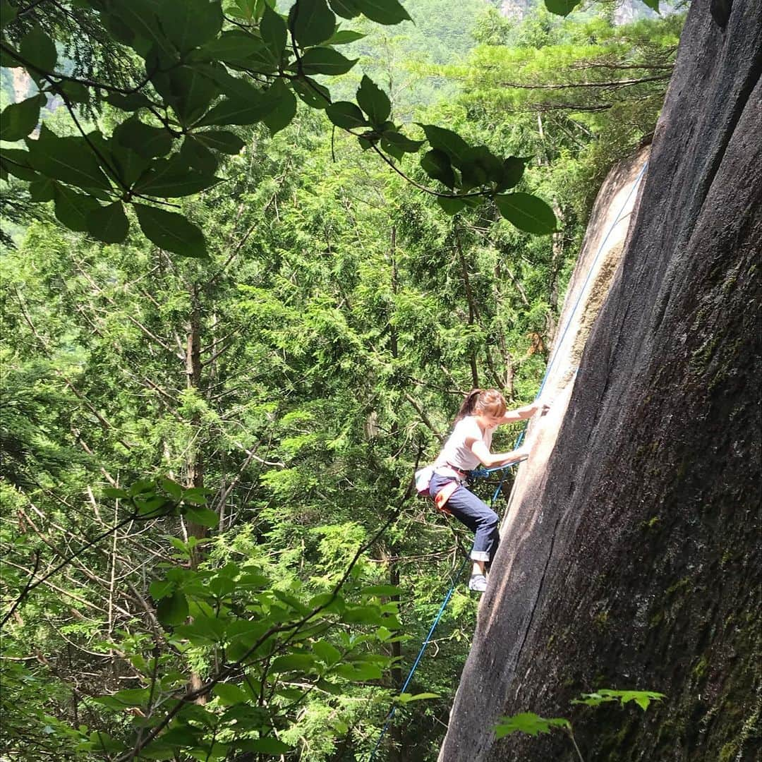 田嶋あいかさんのインスタグラム写真 - (田嶋あいかInstagram)「中学生(？)ぶりに岩に挟まってきました🧗‍♂️﻿ ﻿ 今回はトップロープでしたが、クラックならではの緊張感を感じられて最高に楽しかったです！﻿ ﻿ 一面緑の絶景にも癒されました🤤﻿ ﻿ 一緒に行ってくれた皆さま、ありがとうございました🙇﻿ ﻿ #ロックバランシングも極めたい﻿ ﻿ @mammut_japan ﻿ @unparallelup ﻿ @rockmasterhq ﻿ @organicclimbing」7月20日 15時08分 - tajimaaika