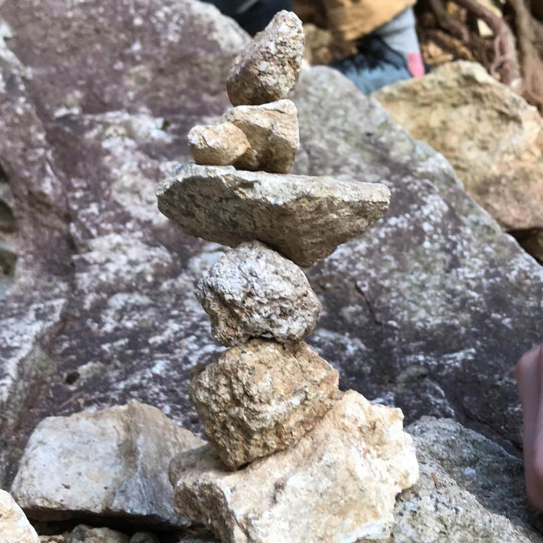 田嶋あいかさんのインスタグラム写真 - (田嶋あいかInstagram)「中学生(？)ぶりに岩に挟まってきました🧗‍♂️﻿ ﻿ 今回はトップロープでしたが、クラックならではの緊張感を感じられて最高に楽しかったです！﻿ ﻿ 一面緑の絶景にも癒されました🤤﻿ ﻿ 一緒に行ってくれた皆さま、ありがとうございました🙇﻿ ﻿ #ロックバランシングも極めたい﻿ ﻿ @mammut_japan ﻿ @unparallelup ﻿ @rockmasterhq ﻿ @organicclimbing」7月20日 15時08分 - tajimaaika