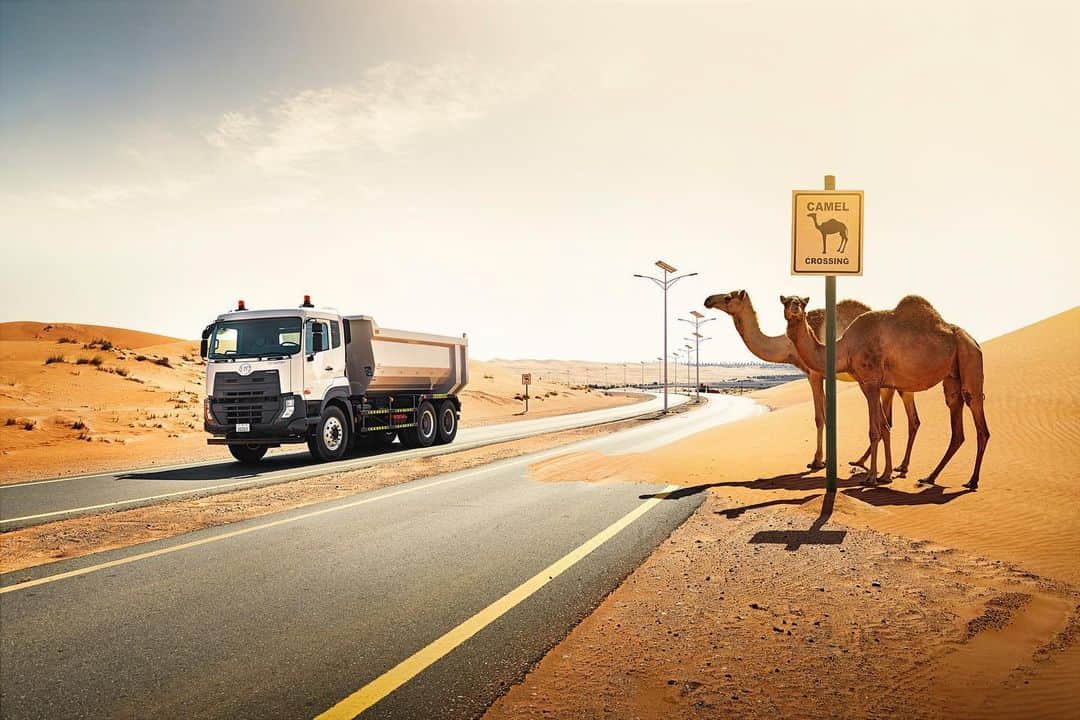 ＵＤトラックスさんのインスタグラム写真 - (ＵＤトラックスInstagram)「中東で活躍するクエスター🐫 Quester in the Middle East  #udトラックス #udtrucks #quester #クエスター #trucks #トラック #camel #ラクダ #はたらくくるま」7月20日 16時10分 - udtrucksjp
