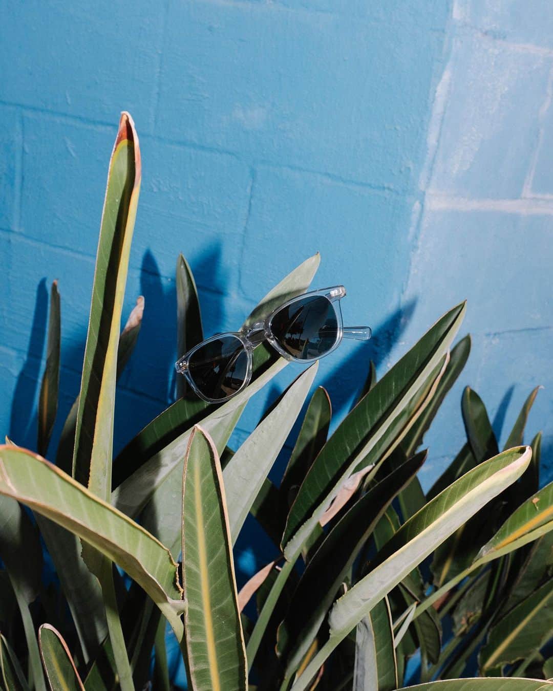 ジーエルシーオーのインスタグラム：「Brooks X Sun spotted in the wild.」