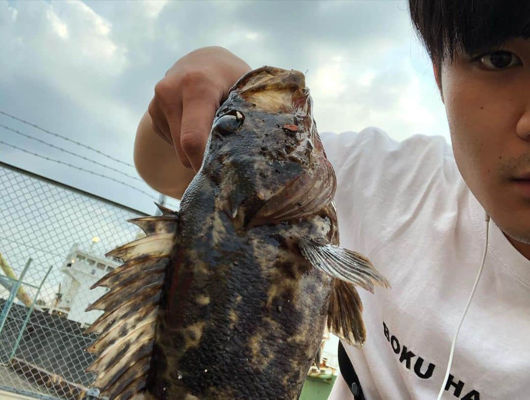 たむかいさんのインスタグラム写真 - (たむかいInstagram)「いつの日かの釣り、釣りばっかりしてごめんなさい。先輩方と青空の下釣り釣り、釣り上げたのはジョーさんだけ。。ジョーさんと可愛い鯛 クロソイとおもてたら、たけのこメバル。 #釣り #やまたけさん #ジョーさん #ドーナツさん #クロソイ？ #たけのこメバル」7月21日 3時14分 - tamkkaii__