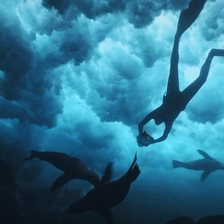 ドゥラメールのインスタグラム：「Ocean photographer and #BlueHeartAmbassador @thomaspeschak reminds us that ripples of good lead to waves of change and you can make a difference beginning here and now. #LaMerBlueHeart」