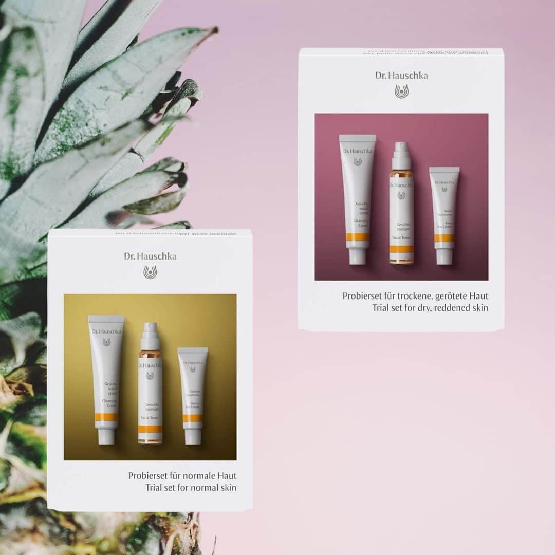 Dr. Hauschka Japan ドクターハウシュカのインスタグラム：「【スターターキット2種リニューアル】⁠ Dr.ハウシュカのスキンケアのお試しキットが、⁠ お求めやすい価格で本日リニューアル😀⁠ 今だけ送料無料キャンペーンでお届けします。⁠ .⁠ .⁠ 初めてDr.ハウシュカ化粧品をお使いになられる方のために、基本の3ステップ「洗う」→「整える」→「うるおす」のスキンケアアイテムをセットにしたスターターキット2種をご用意いたしました。肌タイプに合わせて、ノーマルスキンの方には左側のキット、乾燥が気になる方に右側のキットをご用意しています。⁠ .⁠ .⁠ この3アイテムで、朝のスキンケアは完了。お求めやすい価格で、ご自身のお試し用にも、ちょっとしたギフトにも喜ばれます。⁠ .⁠ .⁠ #ドクターハウシュカ#Drハウシュカ#オーガニックコスメ#敏感肌#敏感肌でも安心#敏感肌でも使える#敏感肌用#敏感肌コスメ#オーガニック#オーガニックコスメ好きな人と繋がりたい#オーガニック好きな人と繋がりたい#オーガニック化粧品#オーガニックスキンケア#オーガニックライフ#ナチュラルコスメ#ナチュラルな暮らし#丁寧な暮らし#スキンケア難民#スキンケア大事#スキンケア#スキンケア好きさんと繋がりたい#サステナブル#サステナブルライフ#サステナビリティ#海外コスメ#在宅コスメ#おうち時間#肌質改善#トライアルキット#トライアル」
