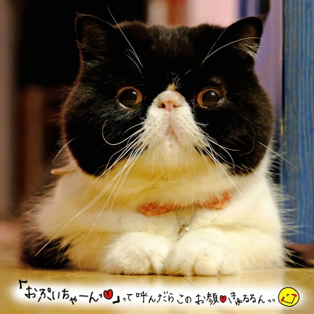 なっつ。のインスタグラム