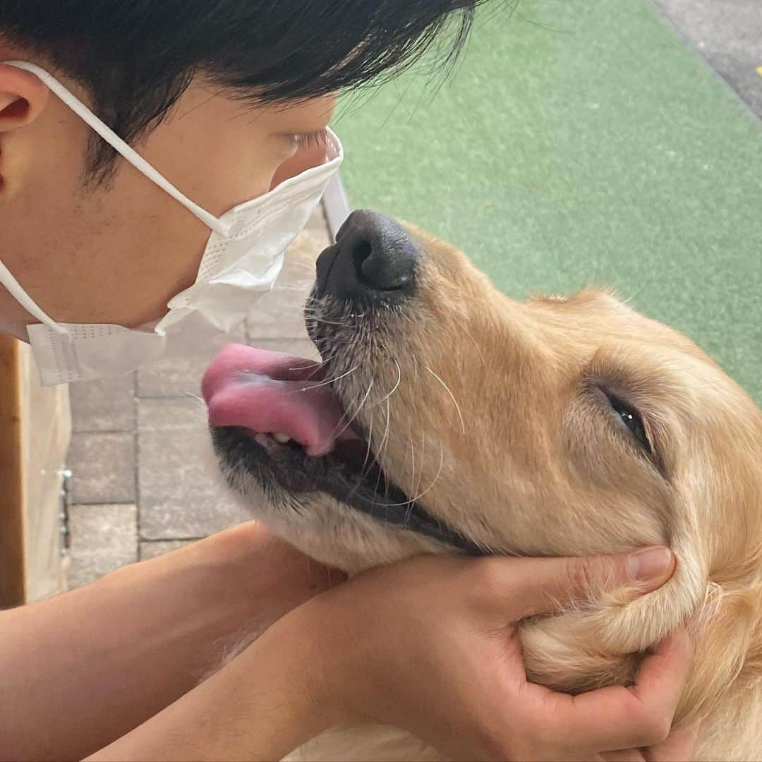 イ・ジョンシンさんのインスタグラム写真 - (イ・ジョンシンInstagram)「하악🐶」7月20日 19時29分 - leejungshin91