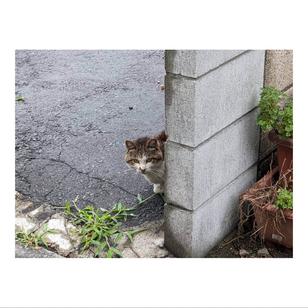 森崎ウィンのインスタグラム：「覗き… うふふ。  ああ、今日は色々悔しかったな。 時間無いとは言え…もっと練習しなきゃって思った1日でした!! 負けない!! #森崎ウィン」