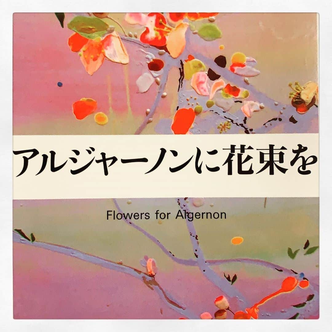 大月さゆのインスタグラム：「🍂この秋🍂﻿ ﻿ ミュージカル「アルジャーノンに花束を」﻿ に出演いたします。﻿ ﻿ 美しくて醜くて切なくて不器用な、、、﻿ あの物語のなかに存在できる機会がやってくるなんて夢のようです。﻿ ﻿ 無事に千秋楽まで役をつとめられますようにと、明るい希望を持って今を頑張ります🍁﻿ ﻿ ﻿小説の表紙が素敵なので、載せてみました📙 ﻿ ﻿ 🐁 原作：ダニエル・キイス「アルジャーノンに花束を」（ハヤカワ文庫）﻿ 脚本・作詞・演出：荻田浩一﻿ 音楽：斉藤恒芳﻿ ﻿ ﻿ 出演：﻿ 矢田悠祐﻿ 大月さゆ、元榮菜摘、青野紗穂﻿ 大山真志、長澤風海、和田泰右﻿ 戸井勝海﻿ 水 夏希﻿ ﻿ ﻿ 2020年10月15日(木)～11月1日(日)﻿ 博品館劇場（中央区銀座8-8-11）﻿ ﻿ ﻿」