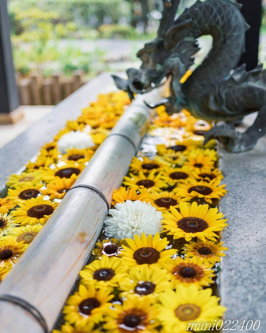 mani022400のグルメインスタ