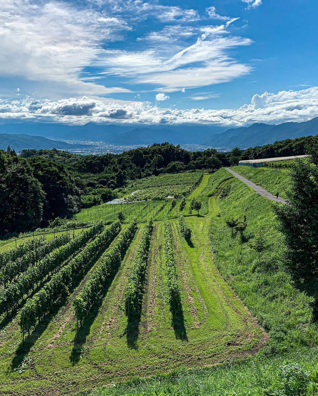 小柳津林太郎さんのインスタグラム写真 - (小柳津林太郎Instagram)「Went to Karuizawa over the weekend to meet an old friend. Exploration of Food, Wine, Soba, Coffee and nature was awesome!  移住した戦友に会いに軽井沢へ。飲と食の視察という名の弾丸トリップ。ほとんど外にいたから、友達以外にあってないけど、会えて良かった。  TOPS @burberry  TShirt @alexanderwangny  Pants @alexanderwangny  Shoes @reebokjp  Pierce @garni_official   #karuizawa #nagano #soba #winery #rinstagram  #軽井沢 #長野 #蕎麦 #ワイナリー」7月20日 20時15分 - rinsta_gram1002