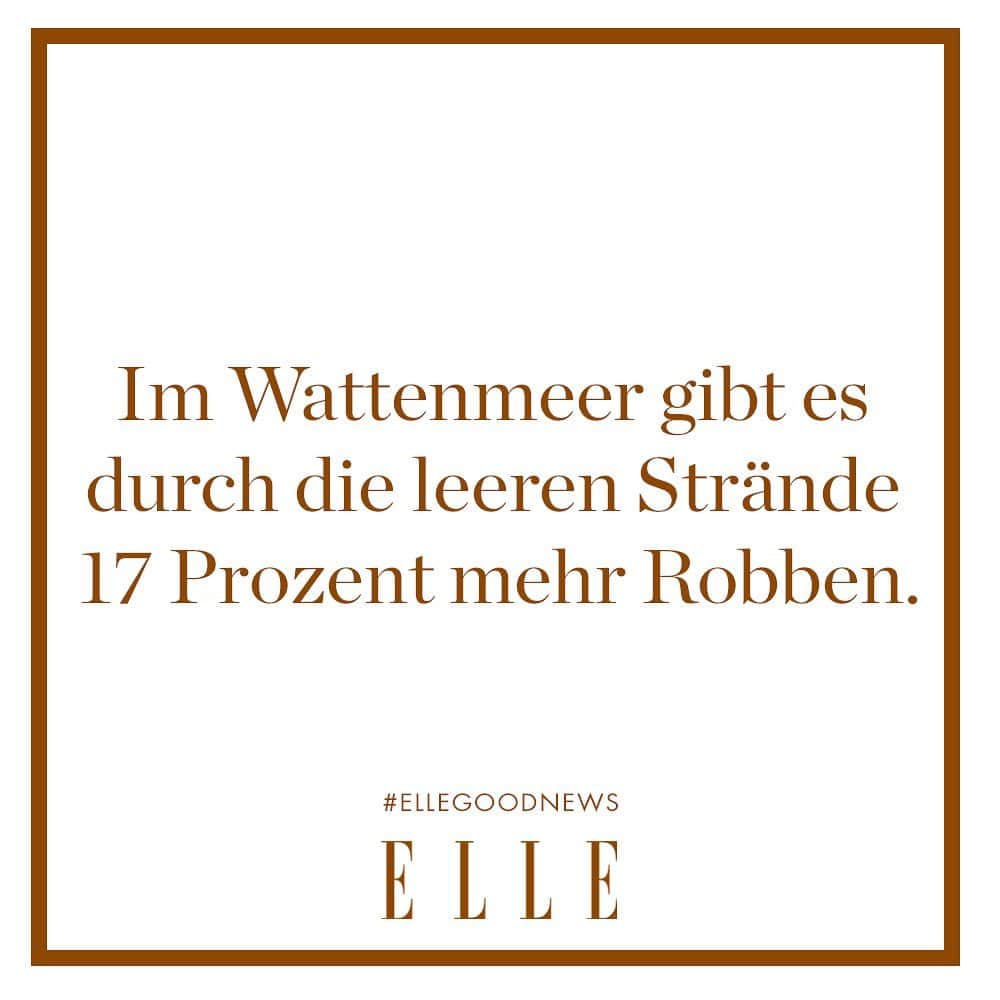 ELLE Germanyのインスタグラム