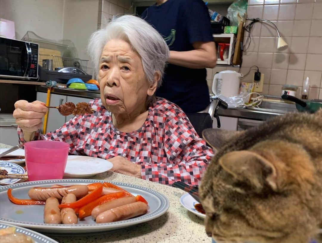 Kachimo Yoshimatsuさんのインスタグラム写真 - (Kachimo YoshimatsuInstagram)「バーバとココア夕ご飯。 Mother & Cocoa #うちの猫ら #猫 #ねこ #cat #ネコ #catstagram #ネコ部 http://kachimo.exblog.jp」7月20日 21時33分 - kachimo