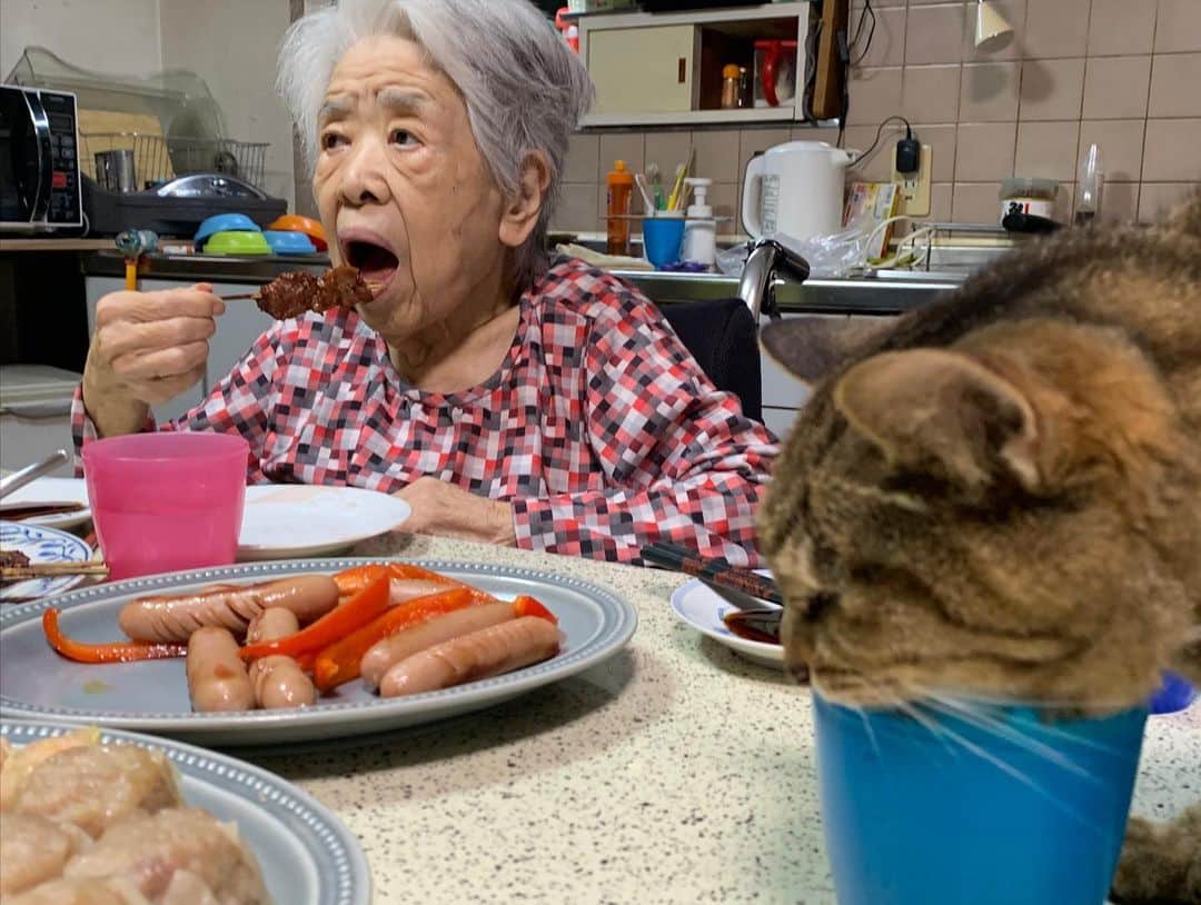 Kachimo Yoshimatsuさんのインスタグラム写真 - (Kachimo YoshimatsuInstagram)「バーバとココア夕ご飯。 Mother & Cocoa #うちの猫ら #猫 #ねこ #cat #ネコ #catstagram #ネコ部 http://kachimo.exblog.jp」7月20日 21時33分 - kachimo