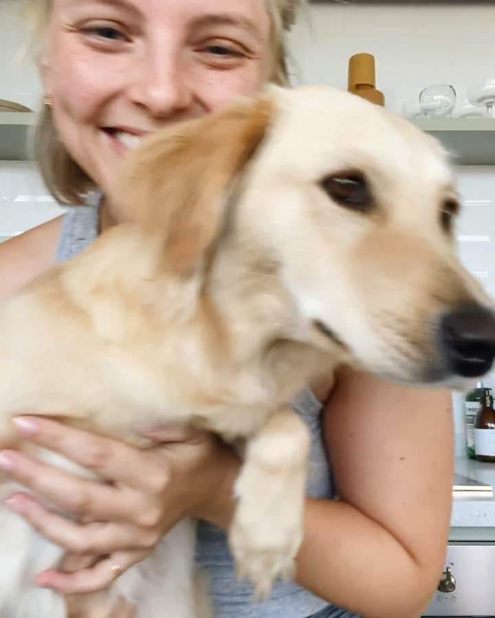 Estée Lalondeのインスタグラム：「Happy Birthday to my sweet little princess Effie (or as I call her, Lady) who is 1 today 🎈 After losing my 🐅 Reggie I didn’t know if I would ever love that deeply again or if I had space in my heart for a new furry companion. 7 months later and we are inseparable 💕 Love can create amazing things - from those petrified little puppy eyes, spending entire days hiding under furniture and not letting me walk up to her for a cuddle to what she has become now. Her progress has been nothing short of amazing. To watch an animal learn to trust you over time- there is nothing like it. This journey has not been easy, but our bond is one of a kind. She has taught me immense patience and empathy, a new type of love and is my reason for waking up in the morning. It’s us vs. the world. Glad she’s on my team 🥰 Please consider adopting an animal from a shelter if you think it’s something you could take on. @wild_at_heart_foundation @doggonamedeffie」
