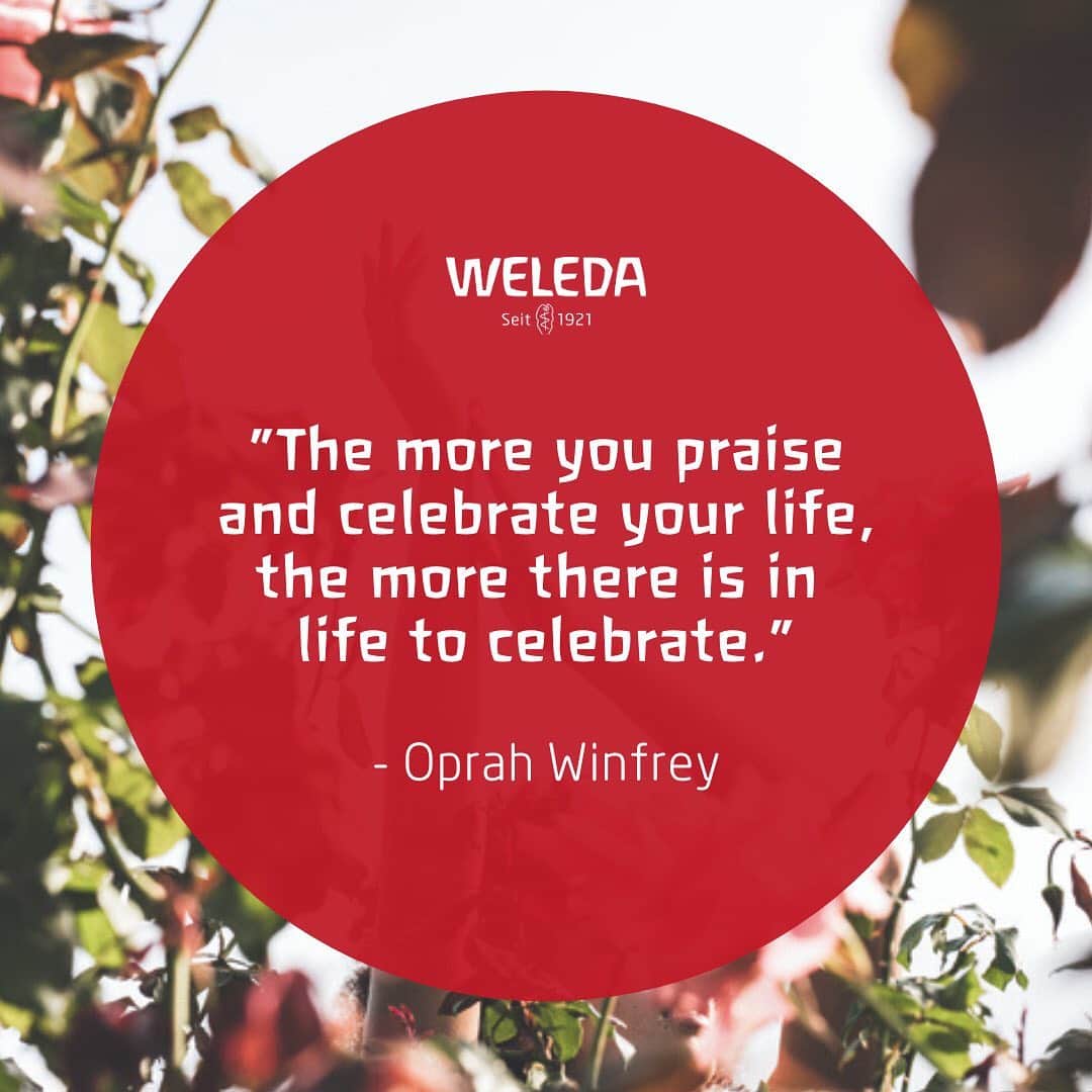 Weledaのインスタグラム：「Celebrate each day! ❤️ #Quoteoftheday」