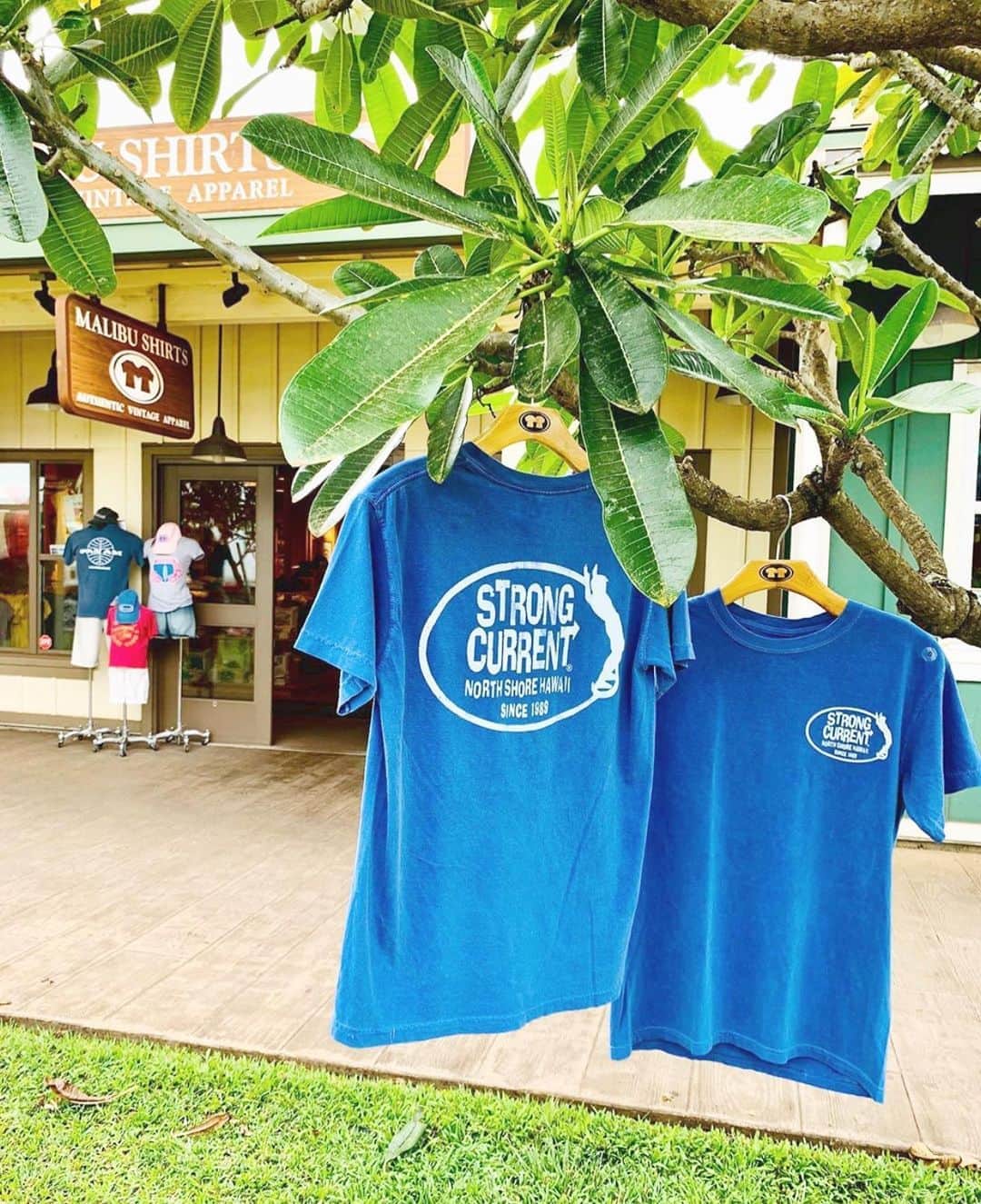 マリブシャツのインスタグラム：「Strong Current Tees are back in stock online along with a few other favorites! 🤙🏼 📸: @haleiwastorelots」