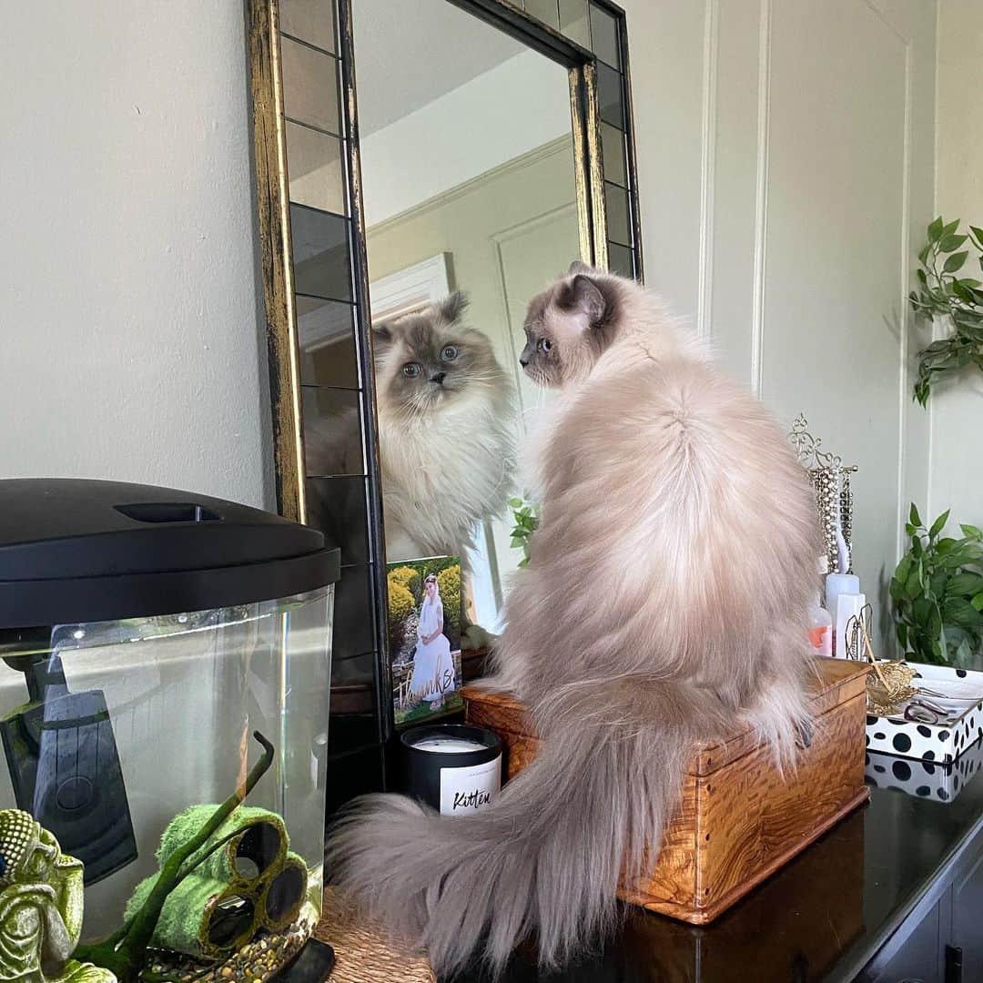 Tinaのインスタグラム：「Mirror mirror on the wall...😘」