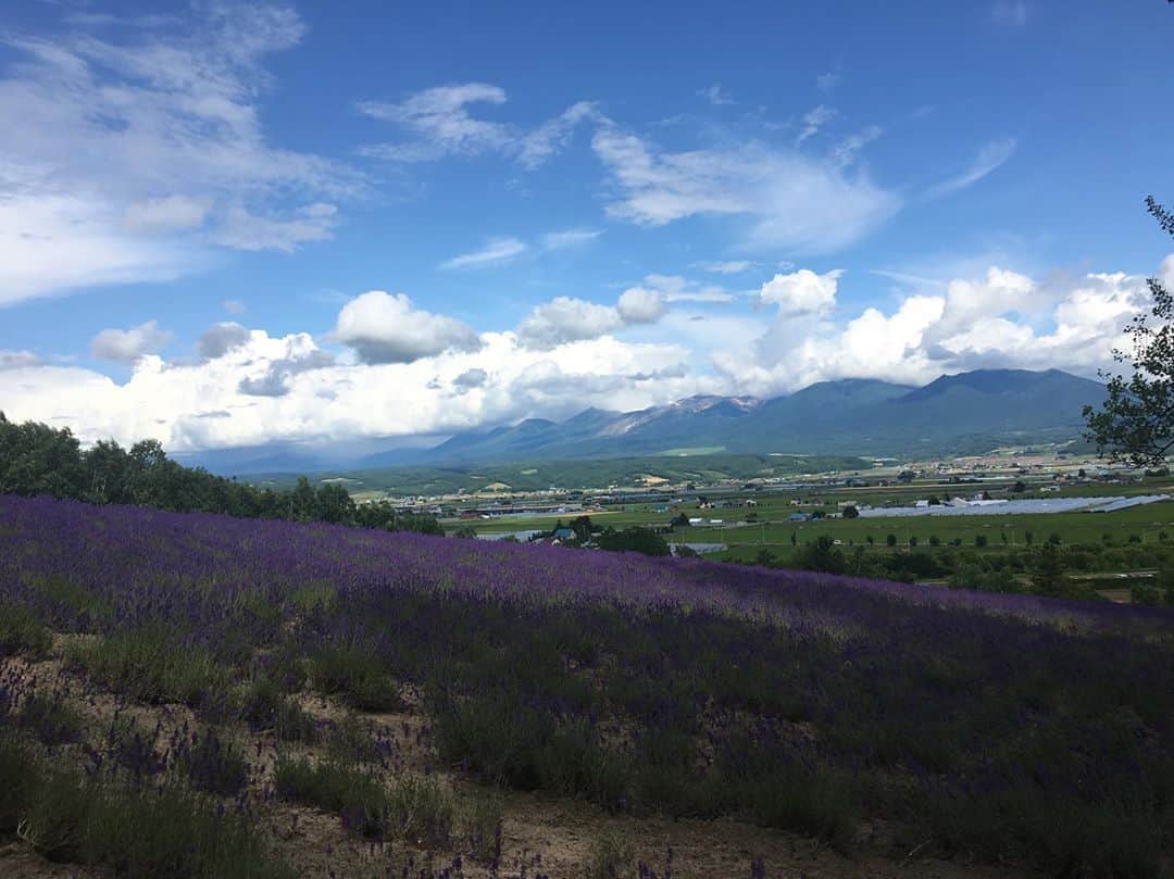 のインスタグラム：「ちょうど約一年前の、富良野。 あぁ、、この空気をおもいっきり吸いたいな。涙でるだろうな。 うん、やさしく生きたいなぁ。」