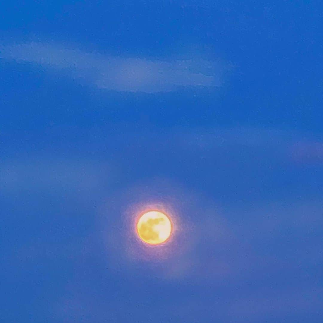 イヴァンナ・ヴェンチュラさんのインスタグラム写真 - (イヴァンナ・ヴェンチュラInstagram)「If you’re feeling lonely just look at the moon. Someone, somewhere is looking right at it too. 🧚🏽✨」7月21日 3時57分 - yoventura