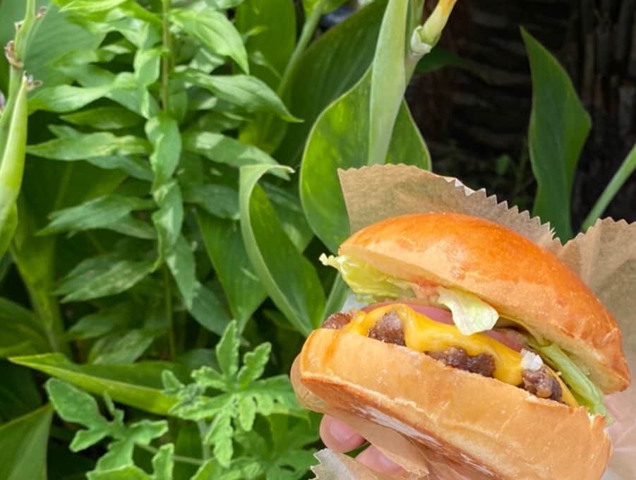 阿知波妃皇さんのインスタグラム写真 - (阿知波妃皇Instagram)「久しぶりに🌵新入りお迎えにいったよ今日はハンバーガーの日だったんだね偶然にもハンバーガー食べた」7月20日 22時51分 - achinami
