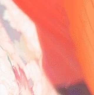 のインスタグラム：「和風美人 #樋口日奈 #ひなちま #乃木坂46」