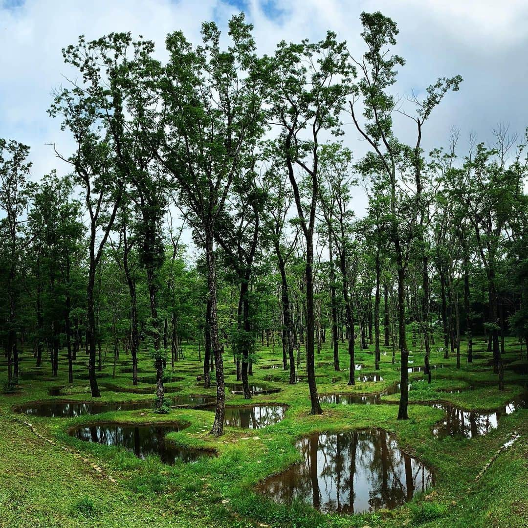 遠藤史也のインスタグラム：「🌿#artbiotop」