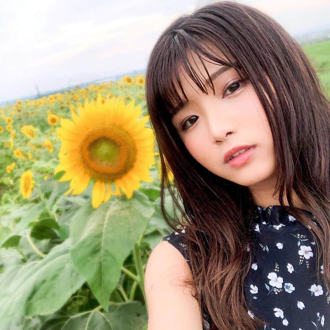 山本ゆうかのインスタグラム：「今日もひまわりでした！！﻿ ﻿ 小野のひまわりはもう元気がないのが多かった(´･ω･`)﻿ ﻿ ひまわりの命短いね(´･ω･`)﻿ ﻿ ワックス使って初めて濡れ髪にチャレンジしました……できてる………？←﻿ ﻿ ﻿ ﻿ ﻿ ﻿ #ひまわり #ひまわり畑 #麦わら帽子 #royalparty #ひまわりの丘公園  #濡れ髪﻿ #ポートレートモデル  #関西サロモ #被写体 #ポートレートしま専科  #ビジョビ #キリトリセカイ #スクリーンに恋して #カメラマンさんと繋がりたい  #サロモ募集中  #portraitphotography #good_portraits_world  #instagood #instaportrait #lovers_nippon  #イチナナライブ #17live #イチナナライバー」