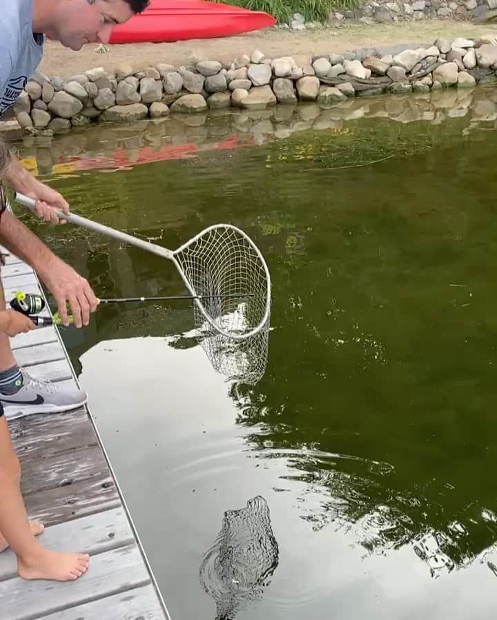 バッバ・ワトソンのインスタグラム：「Little net fishing this morning!! #MinnesotaLife」