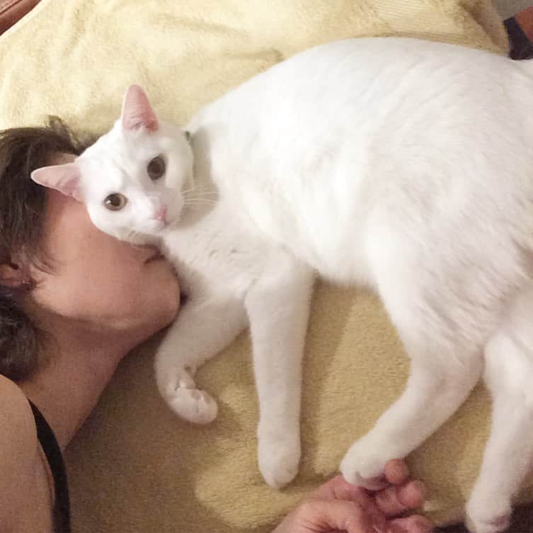 岡田屋鉄蔵のインスタグラム：「ナブさんいいにおいする。風呂入った事ないけど」